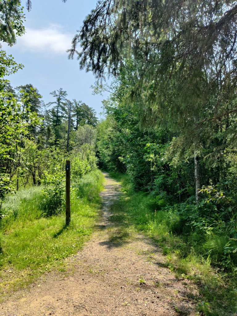 Chase Point trailhead at Scenic State Park in Bigfork, MN