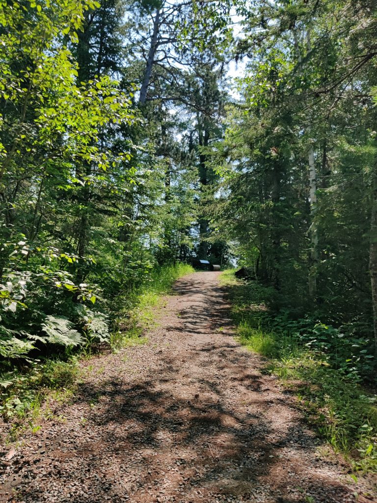 Rocky dirt trail on Chase Point Trail at Scenic State Park in Bigfork, MN