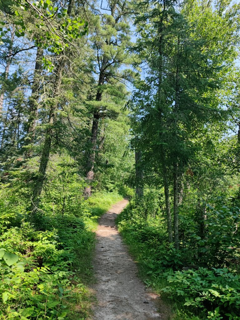 Rocky and root filled incline on Chase Point Trail at Scenic State Park in Bigfork, MN