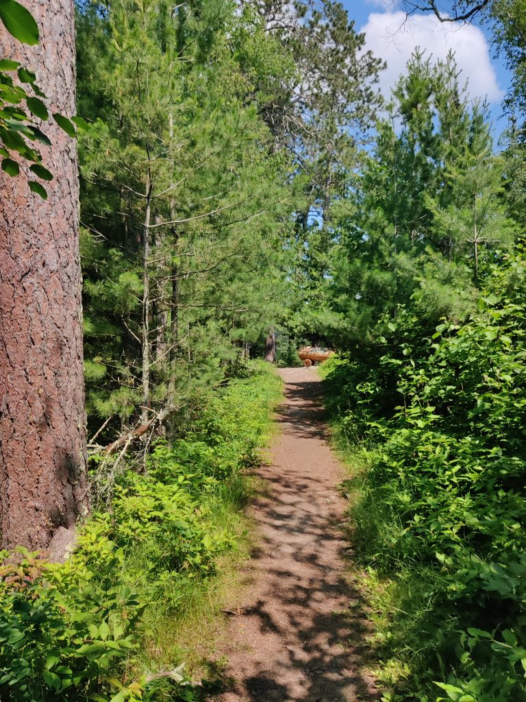 Incline on the dirt trail on Chase Point Trail at Scenic State Park in Bigfork, MN