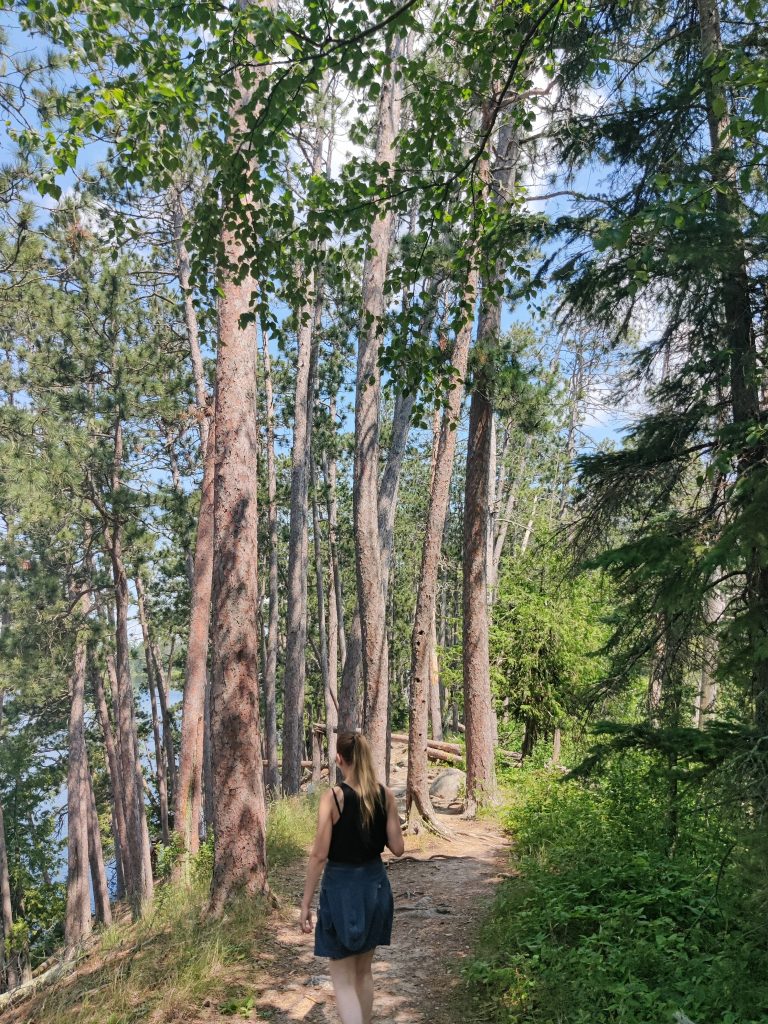 My hiking buddy among the tall trees on Chase Point Trail at Scenic State Park in Bigfork, MN